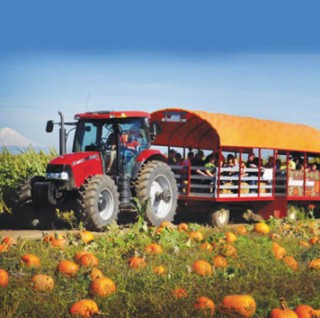 Bauman’s Harvest Festival